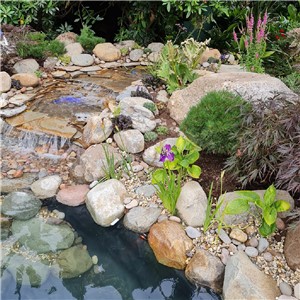 Cambrian Boulders 150mm - 300mm