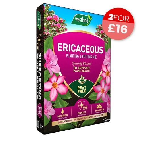 Growsure Ericaceous Compost - 50L